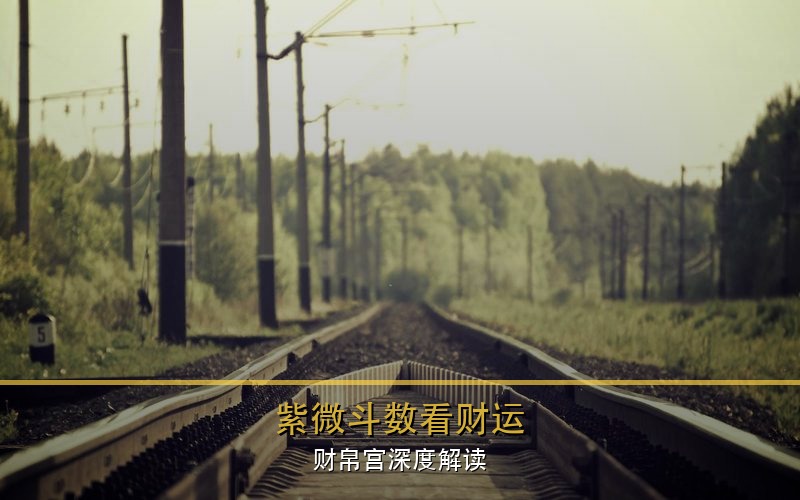 紫微斗数看财运